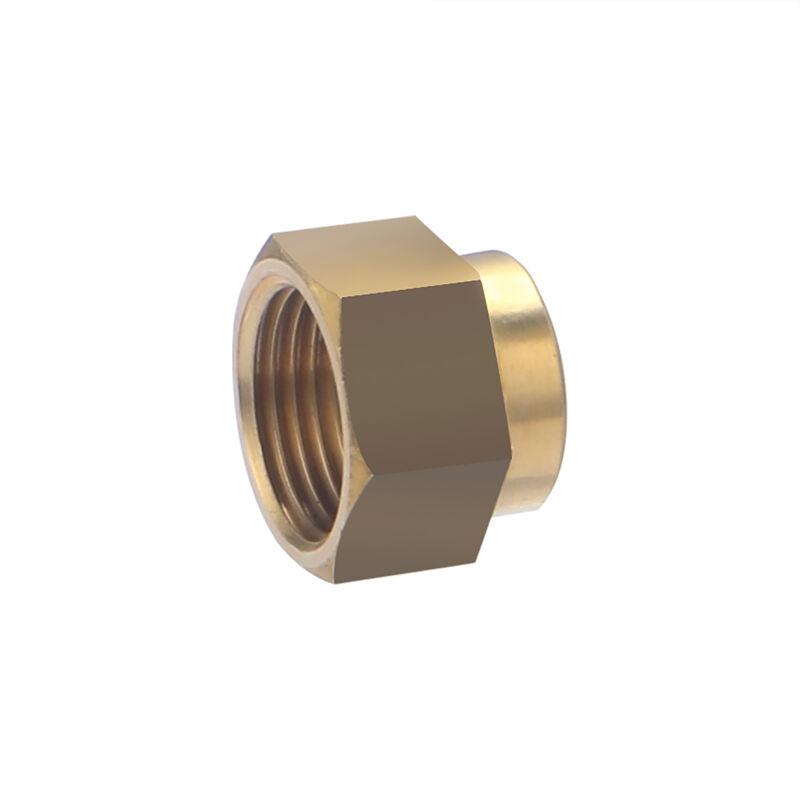 foto del prodotto noyon thiebault nipplo doppio femmina, ridotto, f12x17 f08x13