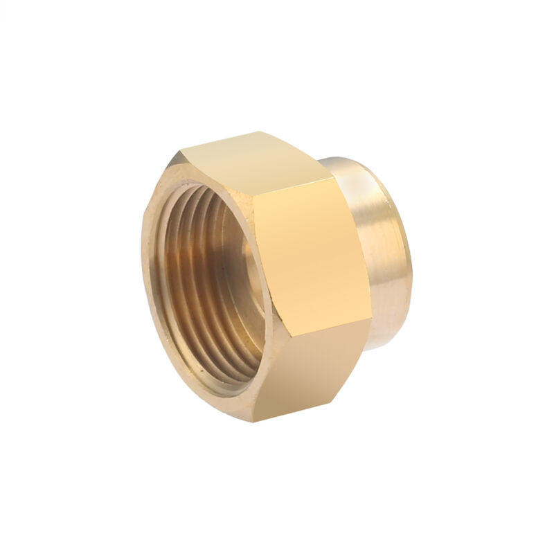 foto del prodotto noyon thiebault nipplo doppio femmina, ridotto, f20x27 f15x21