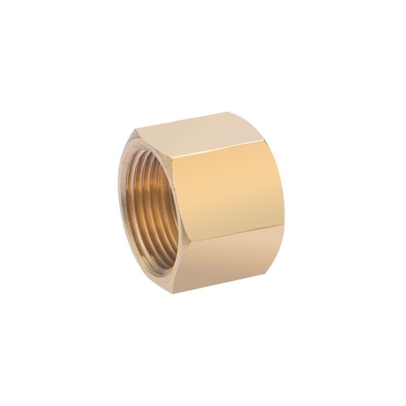 foto del prodotto noyon thiebault nipplo doppio femmina, uguale, con battuta di arresto, f20x27