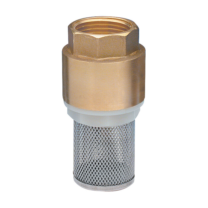 foto del prodotto noyon thiebault valvola anti ritorno con filtro in acciaio inox f26x34