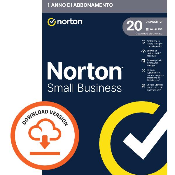 foto del prodotto nsb 2.0 250gb 20 dev 12m esd