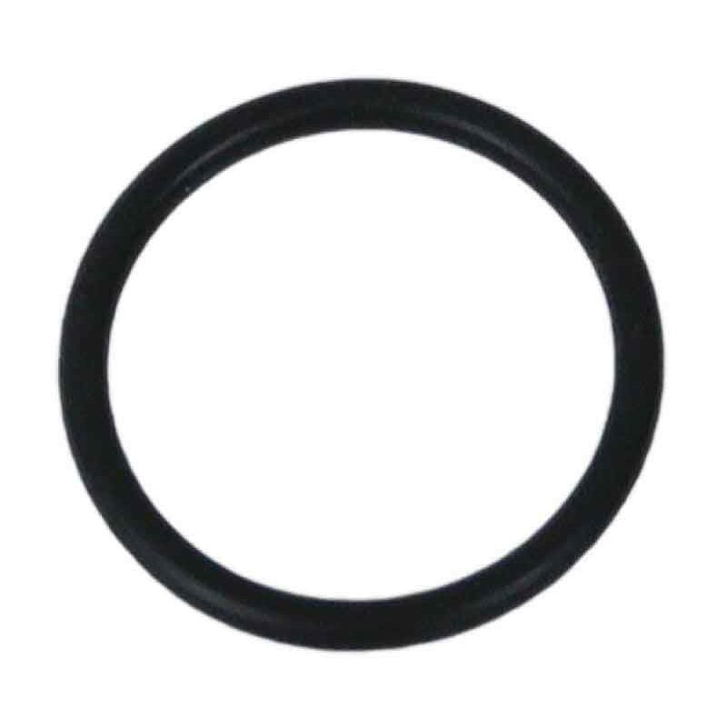 foto del prodotto o ring 1 05 per valvola fleck 5600