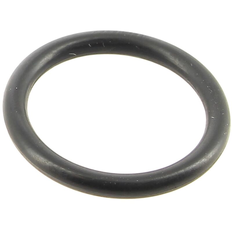 foto del prodotto o ring 17,3x2,4 per lavastoviglie smeg