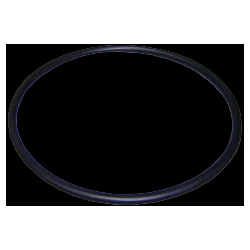 foto del prodotto o ring del coperchio del prefiltro delle pompe astralpool