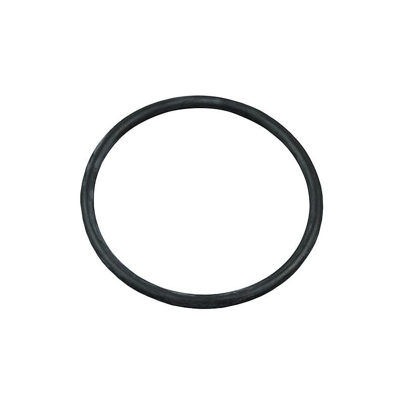 foto del prodotto o ring del diffusore della pompa per piscina astralpool.