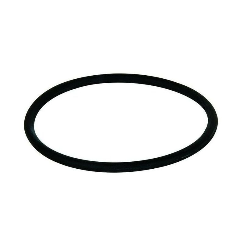 foto del prodotto o ring di tenuta per filtri senior junior atlas filtri