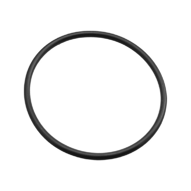 foto del prodotto o ring per elettropompe elpumps compatibile 047452