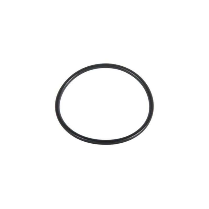 foto del prodotto o.ring per filtro 244 hymfi 31.47 x 1.78 tipo c irrit ec
