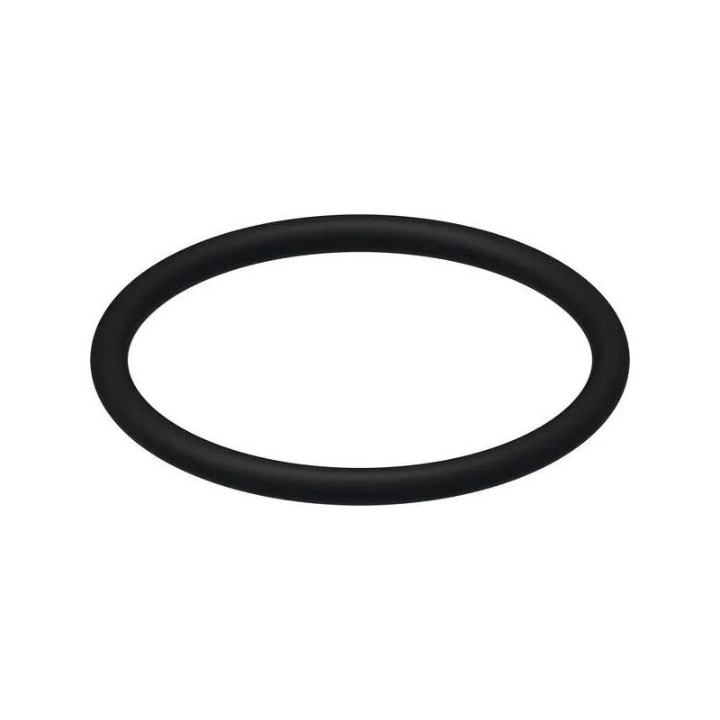 foto del prodotto o-ring per il cestello della campana di lavaggio per il supporto tece