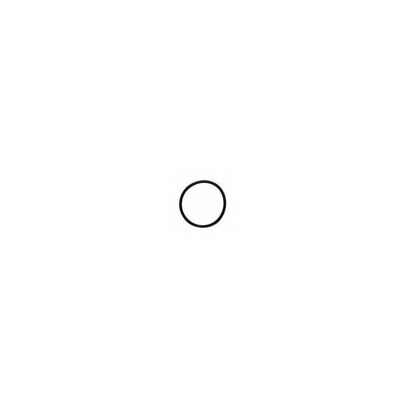 foto del prodotto o ring per tazza filtro aqua big