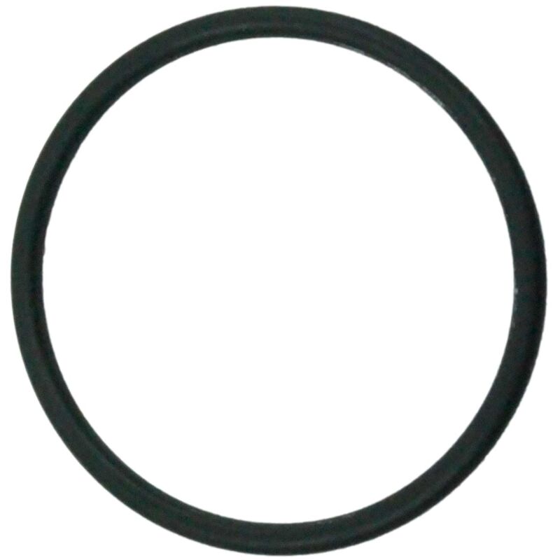 foto del prodotto o ring per valvola fleck 5600