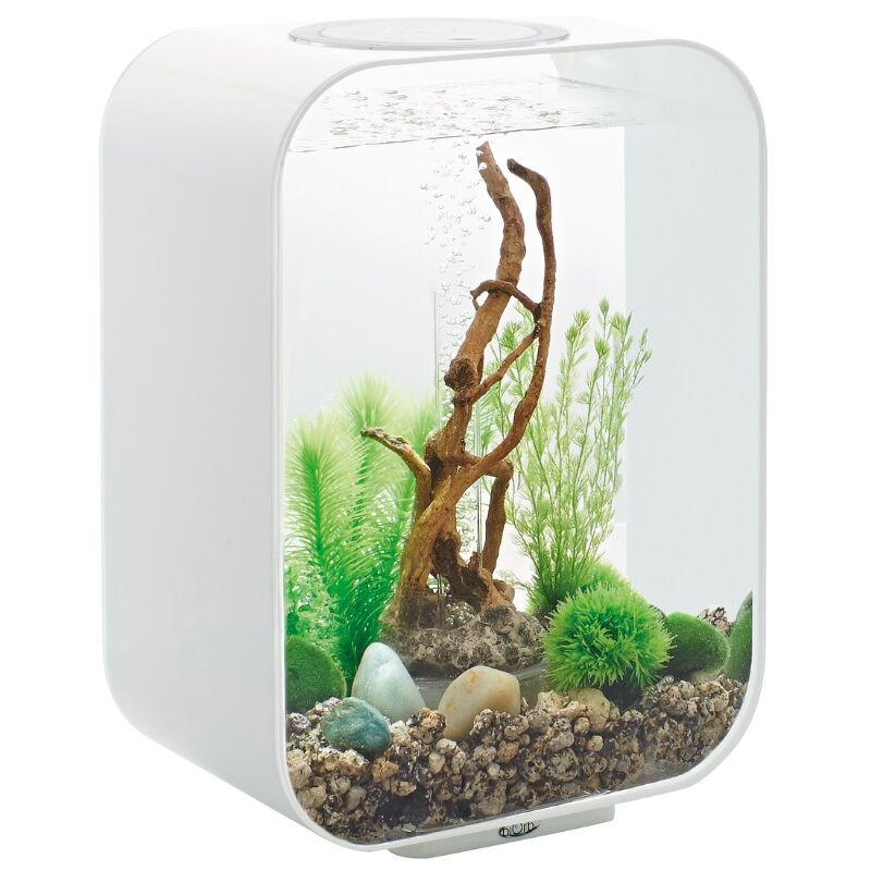 foto del prodotto oase life 15 led bianco life 15 led white