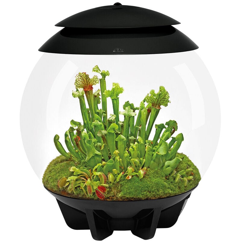 foto del prodotto oase terrario automatizzato nero air 30 black