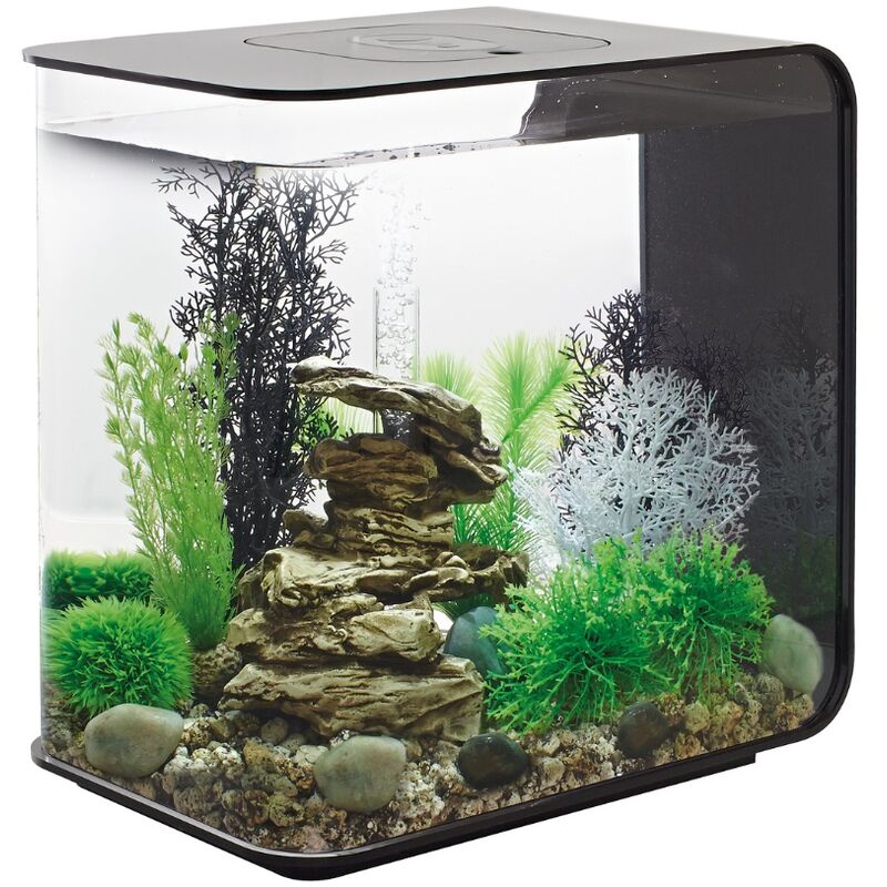 foto del prodotto oaseflow 30 led nero flow 30 led black oase