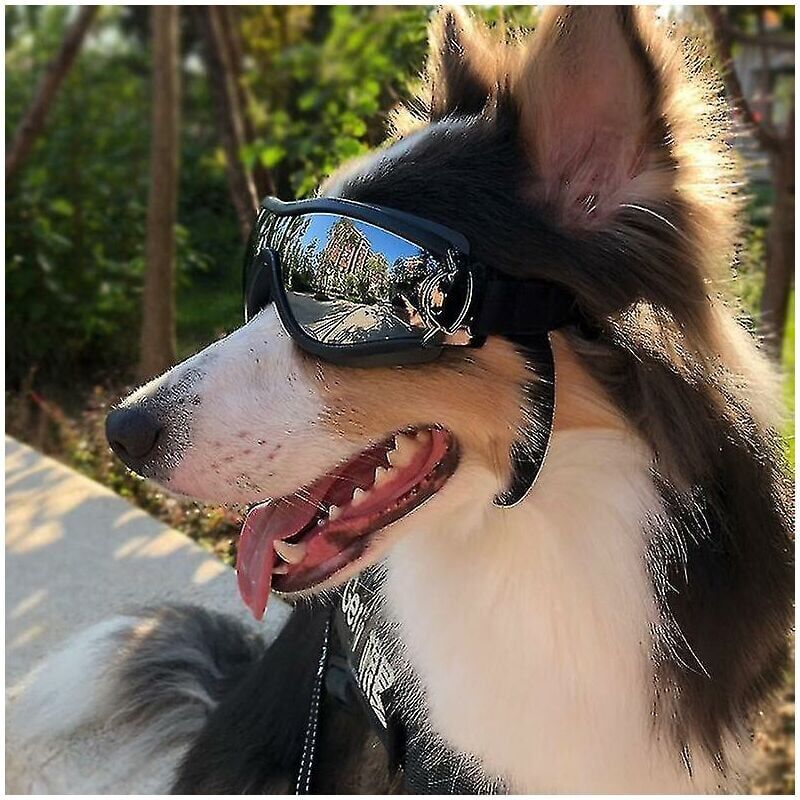 foto del prodotto occhiali da sole per cani da compagnia occhiali protettivi anti uv antivento impermeabili per animali domestici