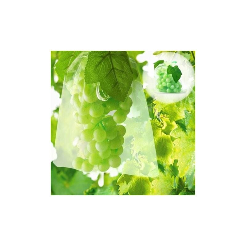 foto del prodotto odipie 100 sacchetti di protezione per la frutta sacchetti di rete protezione dei grappoli d uva contro uccelli e insetti vespe calabroni 30 x 20