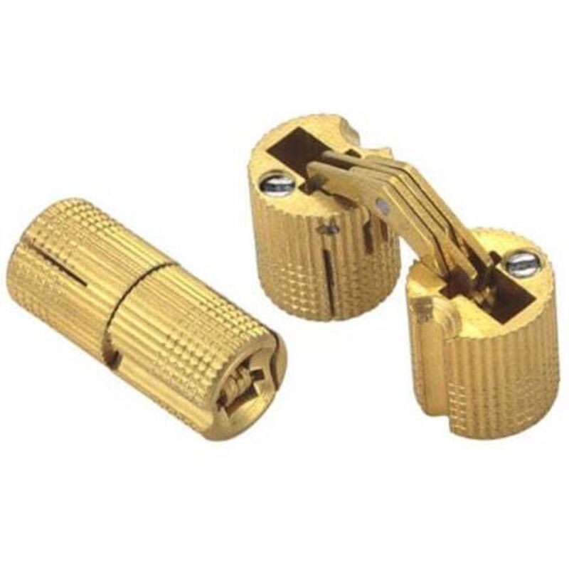 foto del prodotto odipie cerniere cilindriche in ottone, cerniere invisibili a scomparsa per porte in legno, mobili, roulotte, 24 mm