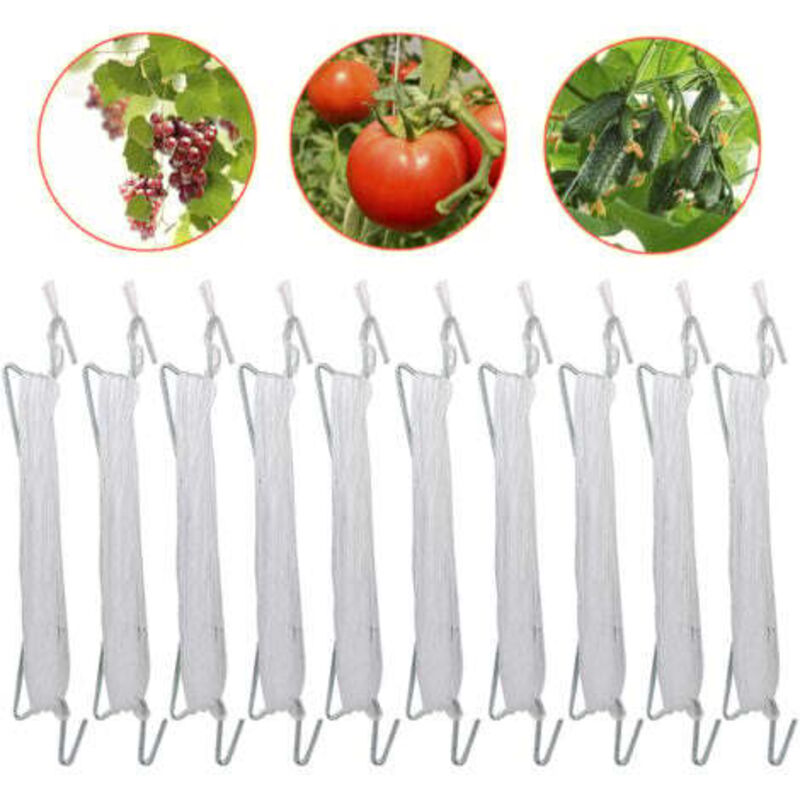 foto del prodotto odipie confezione da 10 ganci per pomodori con spago, pomodori e cetrioli, serra per altre verdure, spago bianco da 10 m