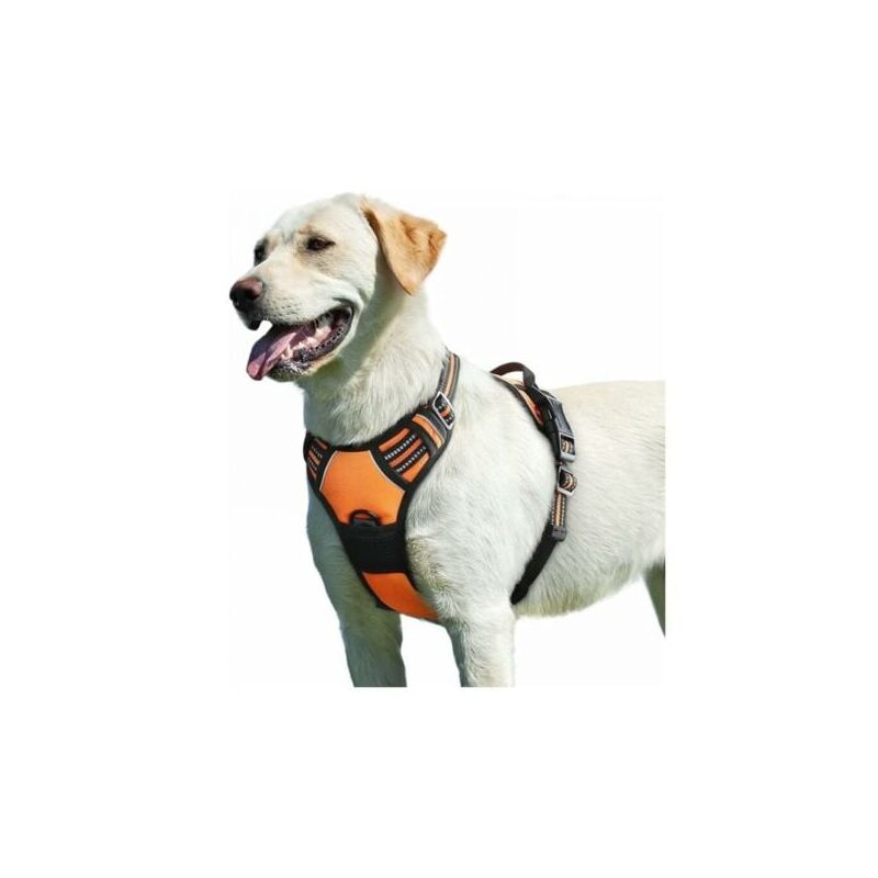 foto del prodotto odipie pettorina arancione per cani, regolabile, riflettente, anti distrazione, facile da indossare, con maniglia di controllo, traspirante,