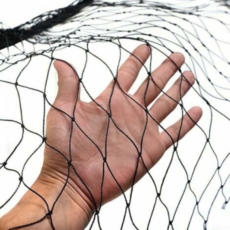 foto del prodotto odipie rete anti uccelli, 10 x 5 m di larghezza, rete anti uccelli, rete di protezione resistente per laghetti da giardino, per frutta, verdura