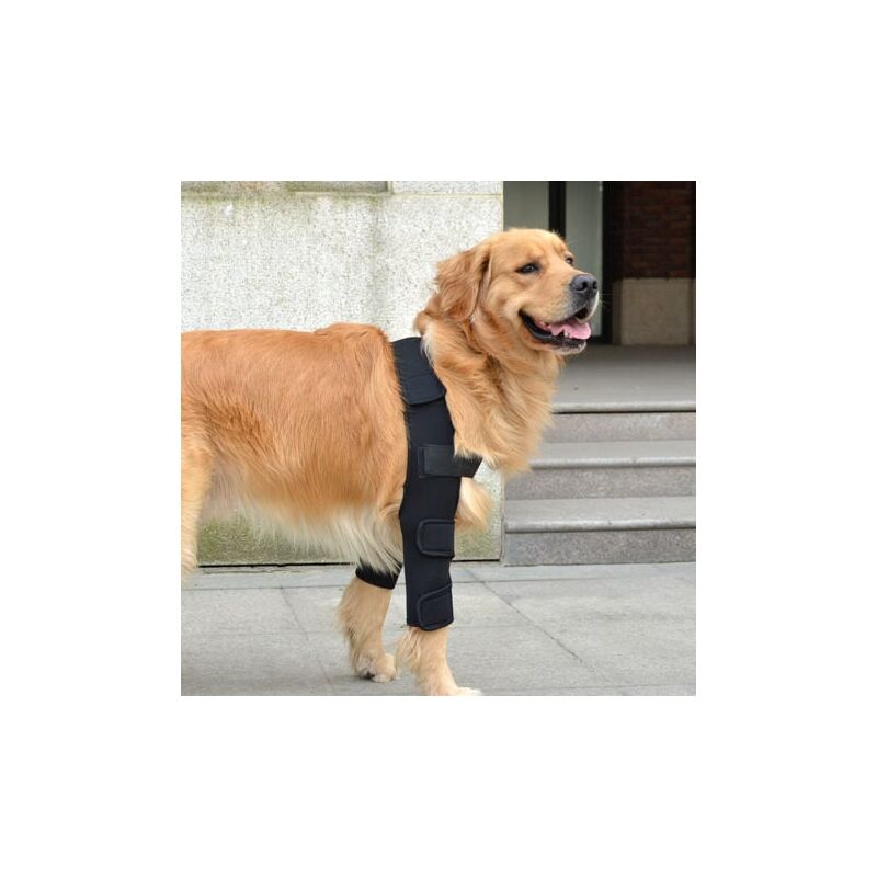 foto del prodotto odipie supporto traspirante per gomito e spalla del cane, per eczema al gomito, displasia, osteoartrite, calli al gomito, compressione l 