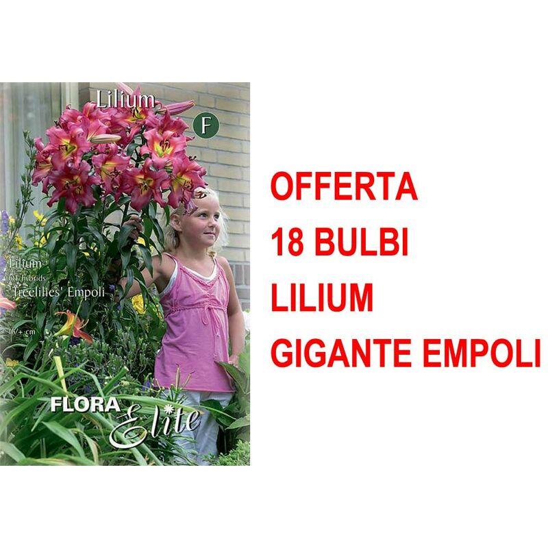 foto del prodotto offerta 18 bulbi lilium gigante empoli bulbs bulbes