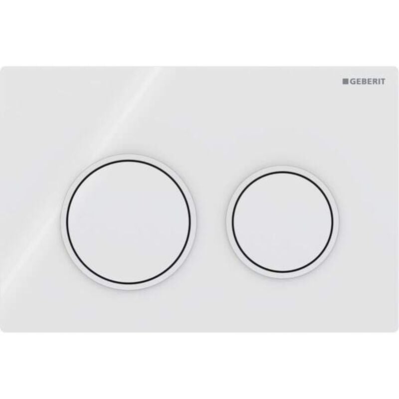 foto del prodotto omega20 plaques de d clenchement, pour rin age 2 geberit