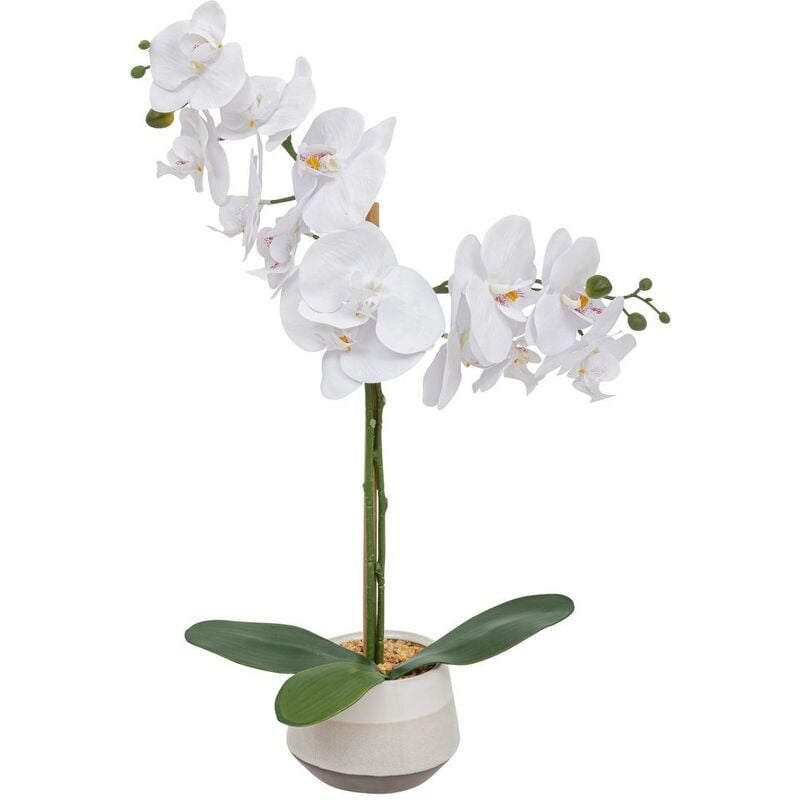 foto del prodotto orchidea artificiale clera h52cm bianco atmosphera cr ateur d'int rieur