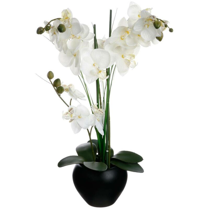 foto del prodotto orchidea artificiale vaso in ceramica nera h53cm atmosphera cr ateur d int rieur
