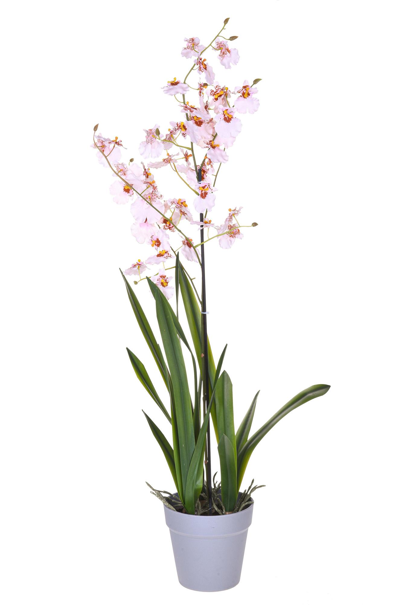 foto del prodotto orchidea artificiali oncidium con vaso altezza 40 cm rosa