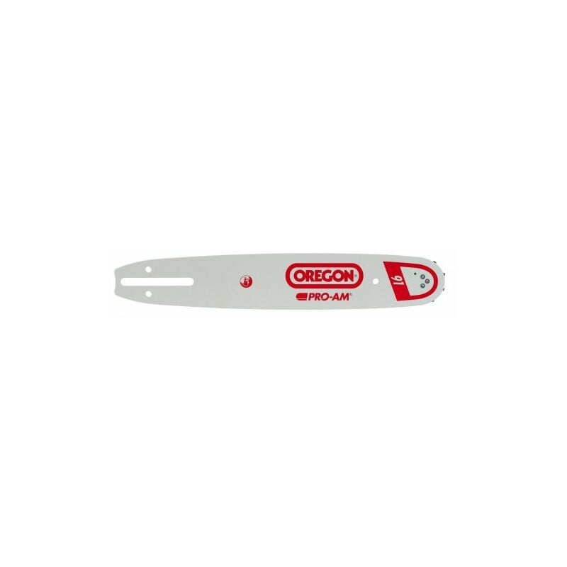 foto del prodotto oregon barra per motosega single rivet 3 8 sp.1,3 40 magl. 25 cm
