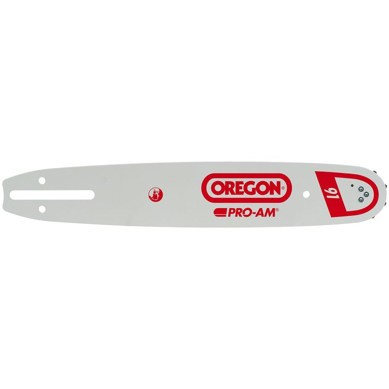foto del prodotto oregon guida catena motosega 160mlbk041 guida 40 cm passo .325 scartamento 1,3 maglie 66 advancecut