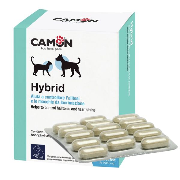 foto del prodotto orme naturali hybrid compresse 1 confezione da 60 compresse 1 ordine scegli lo sconto bzr5 bzr20 200 punti fedelt integratori per cani