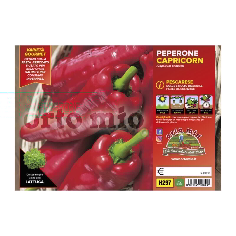 foto del prodotto orto mio peperone capricorn pescarese