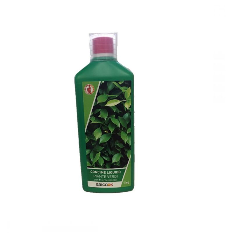 foto del prodotto orvital concime per piante verdi brico ok 1000g
