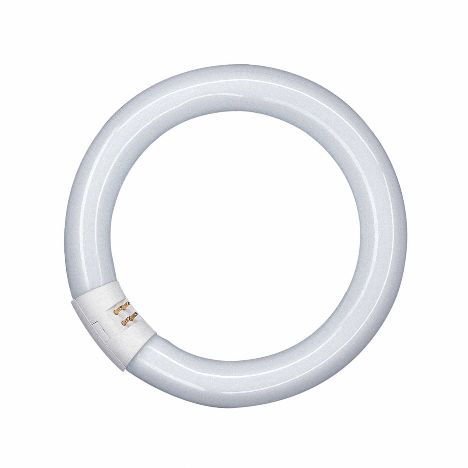 foto del prodotto osram g10q 22w 865 lumilux t9c anello fluorescente