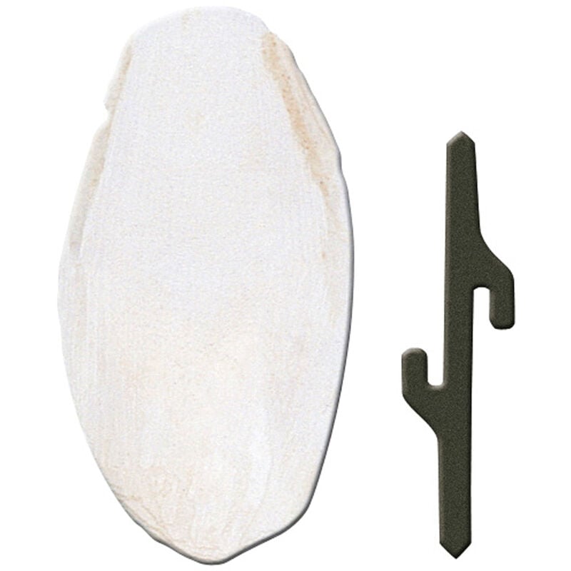 foto del prodotto osso di seppia pa 4330 osso di seppia per uccelli. variante pa 4330 misure 5 x 1.5 x h 12.5 cm ferplast