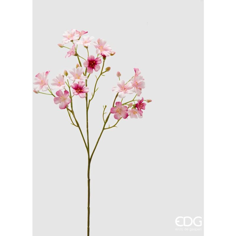 foto del prodotto oxalis ramo x3 h55 rosa