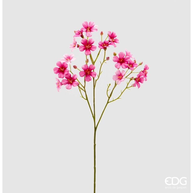 foto del prodotto oxalis ramo x3 h55 rosa scuro
