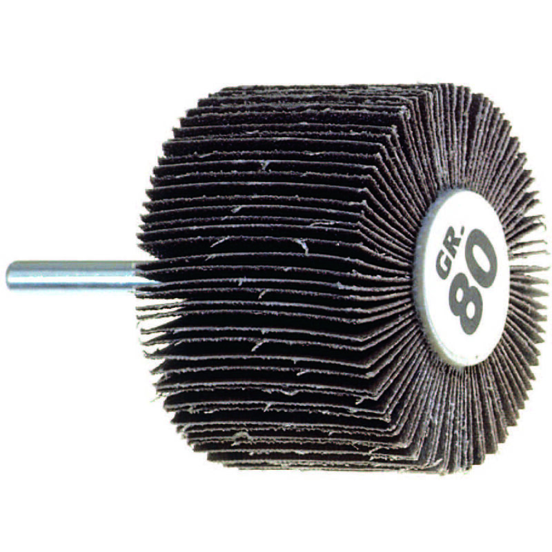 foto del prodotto p g ruota lamellare per trapano mm.40x20 codolo mm.6 pg 358.40