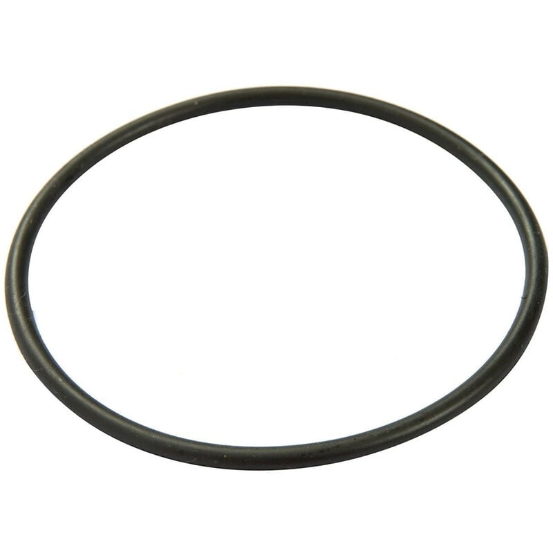 foto del prodotto p6118 o ring per coperchio pompa a cartuccia 58381 bestway