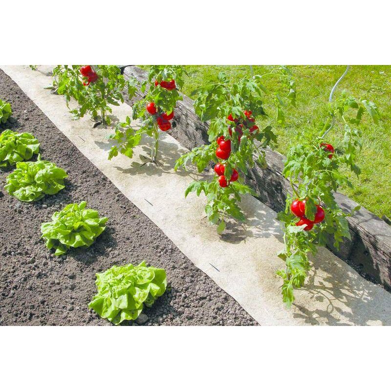 foto del prodotto pacciamatura naturale 50 x 300 cm per giardino e orto 100 biodegradabile 500 g m2 nortene