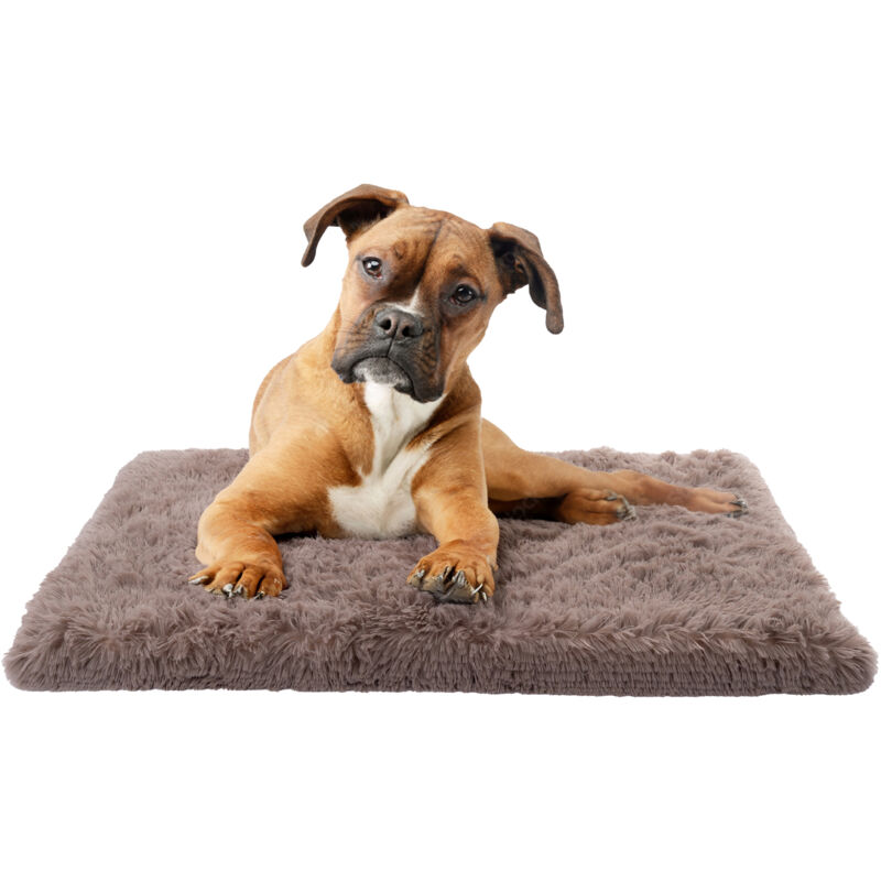 foto del prodotto paco home letto per cani per gatti soffice cuscino divano coperta cestino per cani beige, 50x80 cm