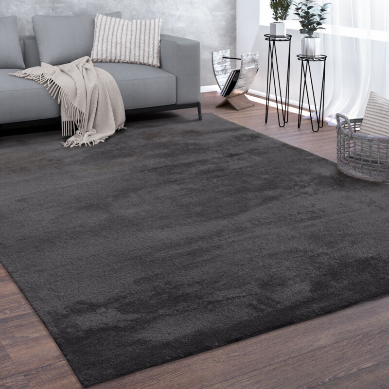 foto del prodotto paco home morbido tappeto a pelo corto per soggiorno, soffice, lavabile, in grigio scuro 120x170 cm