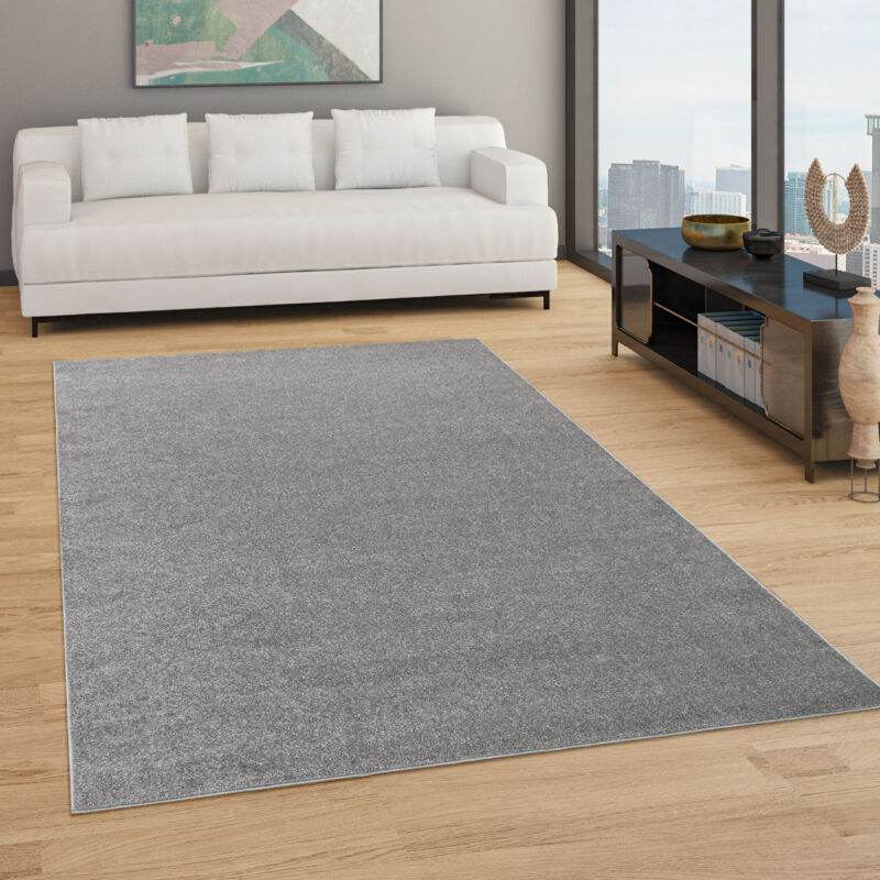 foto del prodotto paco home tappeto pelo corto lavabile, monocolore semplice e moderno, div. misure e colori 60x100 cm, antracite