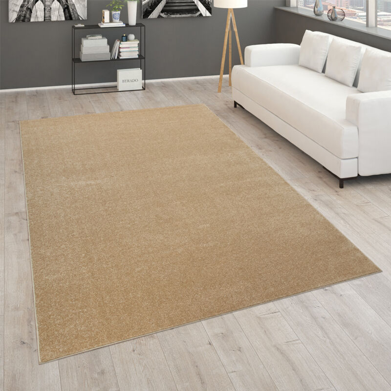 foto del prodotto paco home tappeto per soggiorno tinta unita pelo corto semplice e moderno oro beige 80x150 cm