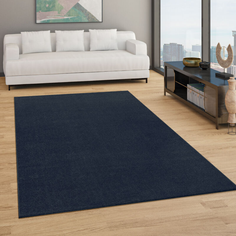 foto del prodotto paco home tappeto per soggiorno tinta unita semplice e moderno pelo corto, div. misure e colori 60x100 cm, navy blu