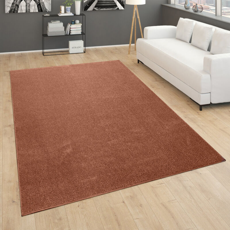 foto del prodotto paco home tappeto salotto pelo corto camera da letto moderno monocolore marrone rosso 60x100 cm
