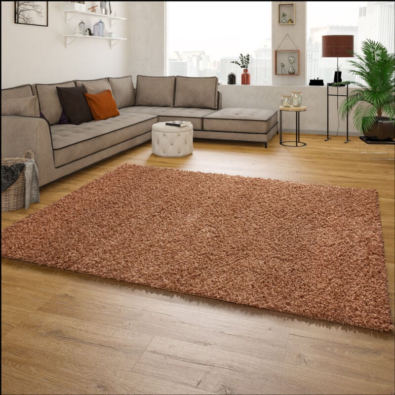 foto del prodotto paco home tappeto shaggy a pelo alto a pelo lungo tappeto a tinta unita in terracotta 60x100 cm