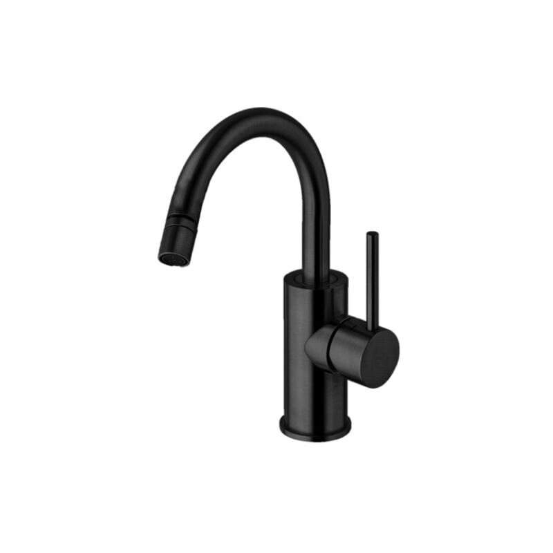 foto del prodotto paffoni miscelatore bidet con canna orientabile serie light lig138no ottone nero opaco